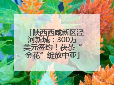 陕西西咸新区泾河新城：300万美元签约！茯茶“金花”绽放中亚