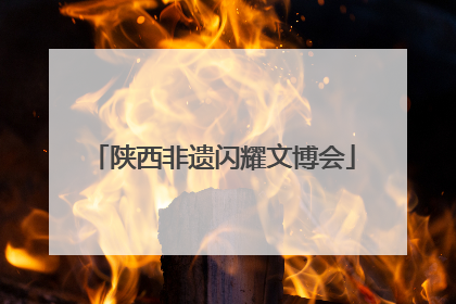 陕西非遗闪耀文博会