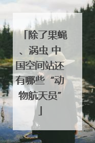 除了果蝇、涡虫 中国空间站还有哪些“动物航天员”