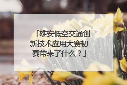雄安低空交通创新技术应用大赛初赛带来了什么？