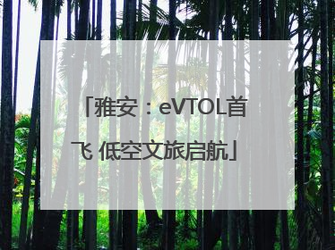 雅安：eVTOL首飞 低空文旅启航