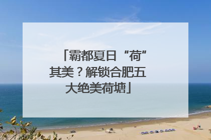 霸都夏日“荷”其美？解锁合肥五大绝美荷塘
