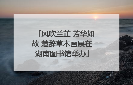 风吹兰芷 芳华如故 楚辞草木画展在湖南图书馆举办