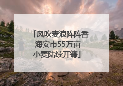风吹麦浪阵阵香 海安市55万亩小麦陆续开镰