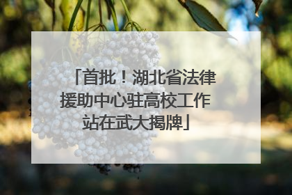 首批！湖北省法律援助中心驻高校工作站在武大揭牌