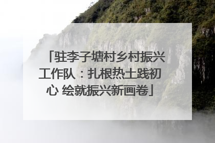 驻李子塘村乡村振兴工作队：扎根热土践初心 绘就振兴新画卷