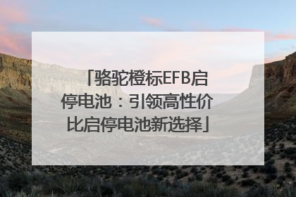 骆驼橙标EFB启停电池：引领高性价比启停电池新选择