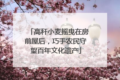 高秆小麦摇曳在房前屋后，巧手农民守望百年文化遗产