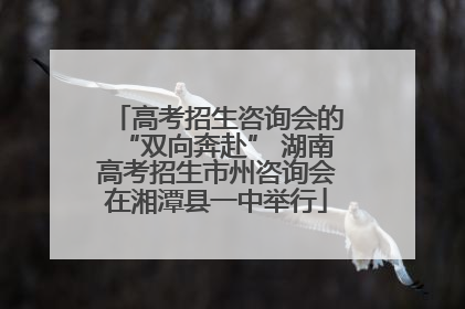 高考招生咨询会的“双向奔赴” 湖南高考招生市州咨询会在湘潭县一中举行