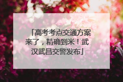 高考考点交通方案来了，精确到米！武汉武昌交警发布