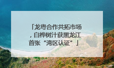 龙粤合作共拓市场，白桦树汁获黑龙江首张“湾区认证”
