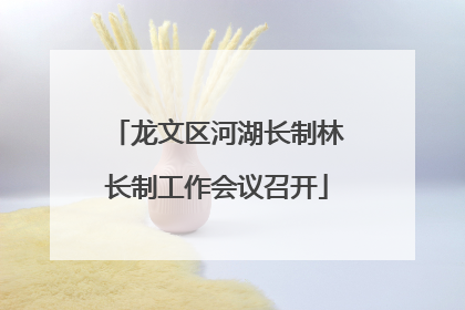 龙文区河湖长制林长制工作会议召开