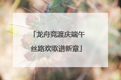 龙舟竞渡庆端午 丝路欢歌谱新章