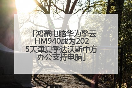 鸿蒙电脑华为擎云 HM940成为2025天津夏季达沃斯中方办公支持电脑