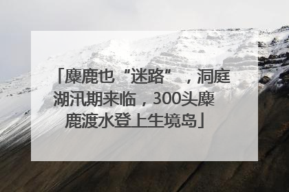 麋鹿也“迷路”，洞庭湖汛期来临，300头麋鹿渡水登上生境岛