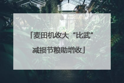 麦田机收大“比武” 减损节粮助增收
