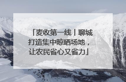 麦收第一线丨聊城打造集中晾晒场地，让农民省心又省力