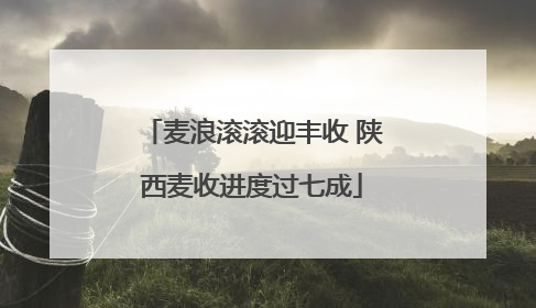 麦浪滚滚迎丰收 陕西麦收进度过七成