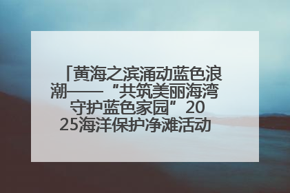 黄海之滨涌动蓝色浪潮——“共筑美丽海湾 守护蓝色家园”2025海洋保护净滩活动暨“美丽江苏—江河湖海青蓝行”海洋篇在连云港举行