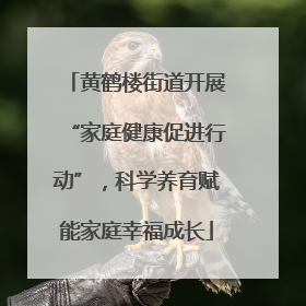 黄鹤楼街道开展“家庭健康促进行动”，科学养育赋能家庭幸福成长