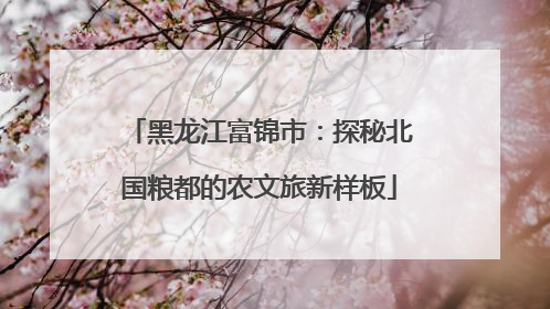 黑龙江富锦市：探秘北国粮都的农文旅新样板