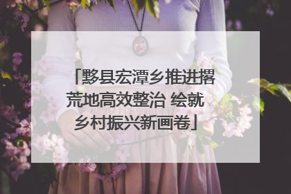 黟县宏潭乡推进撂荒地高效整治 绘就乡村振兴新画卷