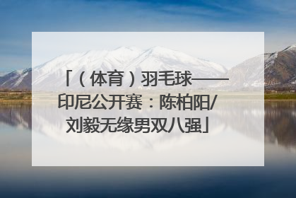 （体育）羽毛球——印尼公开赛：陈柏阳/刘毅无缘男双八强