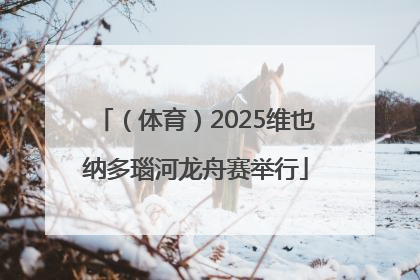 （体育）2025维也纳多瑙河龙舟赛举行