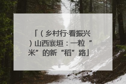 （乡村行·看振兴）山西襄垣：一粒“米”的新“稻”路