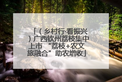 （乡村行·看振兴）广西钦州荔枝集中上市 “荔枝+农文旅融合”助农增收