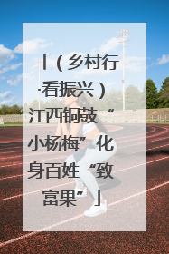（乡村行·看振兴）江西铜鼓“小杨梅”化身百姓“致富果”