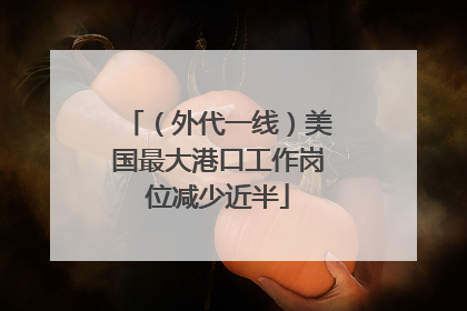 （外代一线）美国最大港口工作岗位减少近半