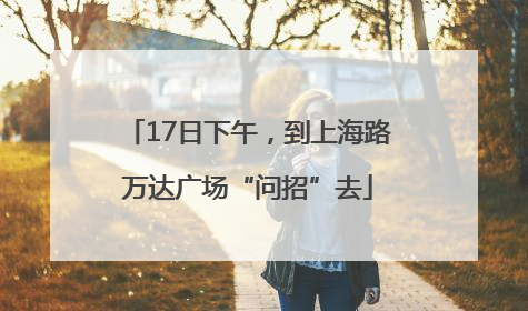 17日下午，到上海路万达广场“问招”去