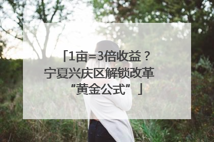 1亩=3倍收益？宁夏兴庆区解锁改革“黄金公式”