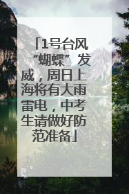 1号台风“蝴蝶”发威，周日上海将有大雨雷电，中考生请做好防范准备