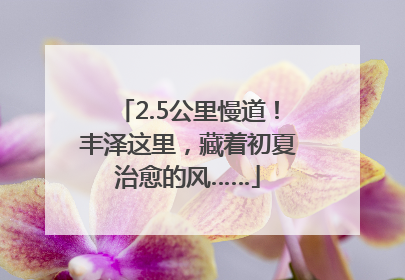 2.5公里慢道！丰泽这里，藏着初夏治愈的风……