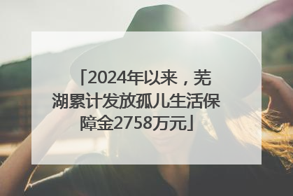 2024年以来，芜湖累计发放孤儿生活保障金2758万元