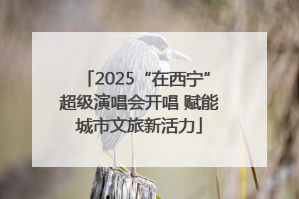 2025“在西宁”超级演唱会开唱 赋能城市文旅新活力