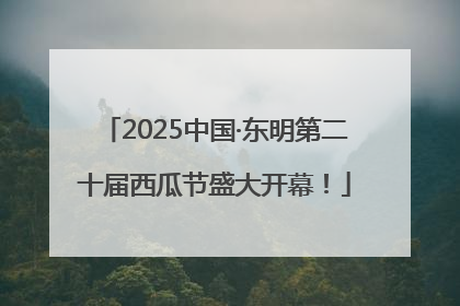 2025中国·东明第二十届西瓜节盛大开幕！