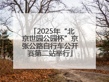 2025年“北京世园公园杯”京张公路自行车公开赛第二站举行