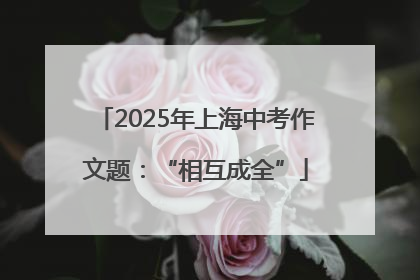 2025年上海中考作文题：“相互成全”