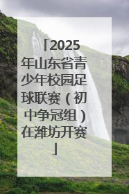2025年山东省青少年校园足球联赛（初中争冠组）在潍坊开赛