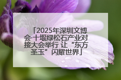 2025年深圳文博会·十堰绿松石产业对接大会举行 让“东方圣玉”闪耀世界