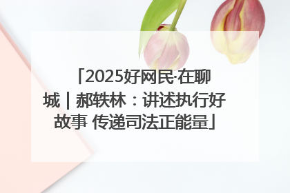 2025好网民·在聊城｜郝轶林：讲述执行好故事 传递司法正能量