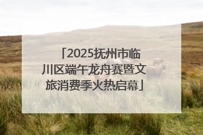2025抚州市临川区端午龙舟赛暨文旅消费季火热启幕