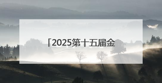 2025第十五届金鸡湖端午龙舟赛开赛