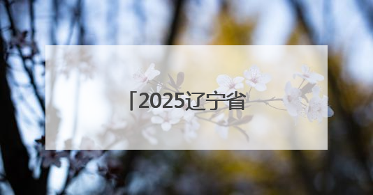2025辽宁省暨沈阳市安全宣传咨询日“应急安全市集”火爆开市