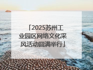 2025苏州工业园区网络文化采风活动圆满举行