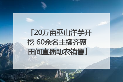 20万亩巫山洋芋开挖 60余名主播齐聚田间直播助农销售
