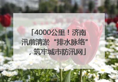 4000公里！济南汛前清淤“排水脉络”，筑牢城市防汛网